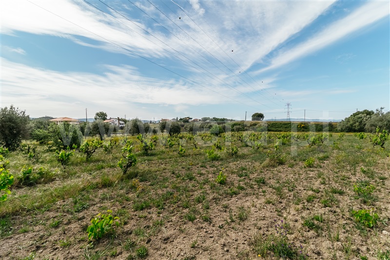 Quinta  Belmonte, Belmonte - 1010600 - 30