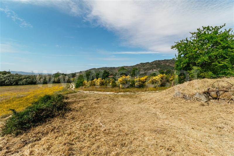Quinta  Belmonte, Belmonte - 1010600 - 43