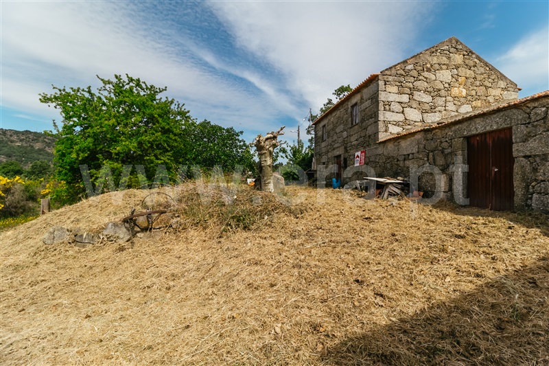Quinta  Belmonte, Belmonte - 1010600 - 44