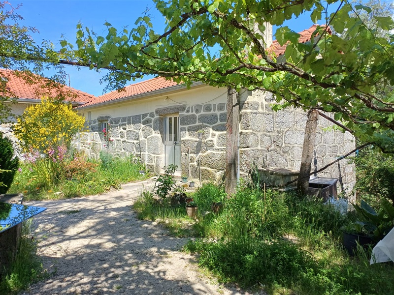 Quinta T2 Celorico de Basto, Caçarilhe e Infesta - 1339849 - 22
