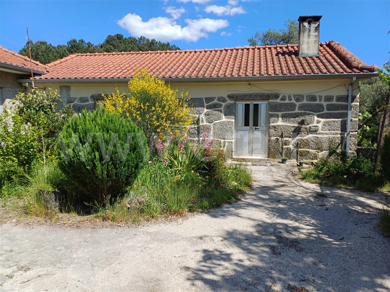 Quinta T2 Celorico de Basto, Caçarilhe e Infesta - 1339849 - 23