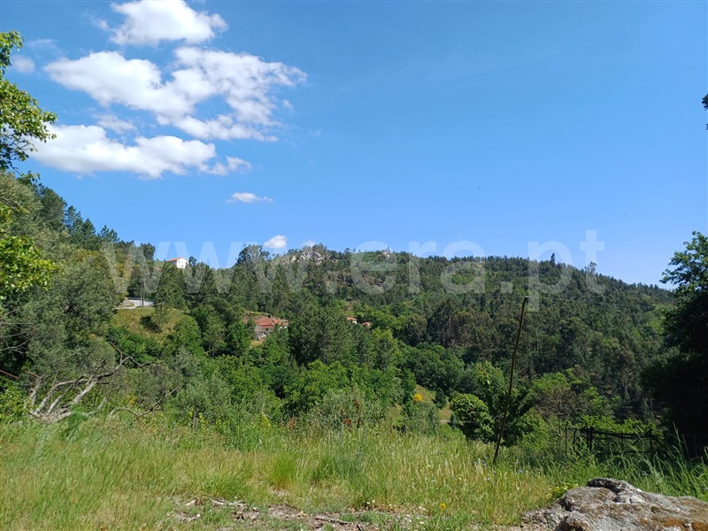 Quinta T2 Celorico de Basto, Caçarilhe e Infesta - 1339849 - 24