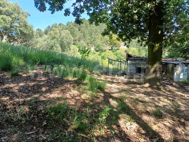 Quinta T2 Celorico de Basto, Caçarilhe e Infesta - 1339849 - 25