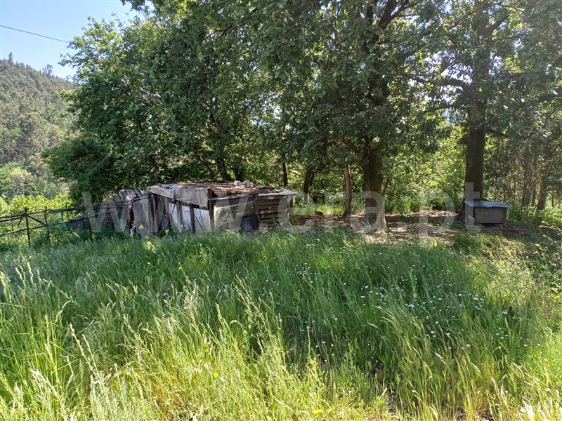 Quinta T2 Celorico de Basto, Caçarilhe e Infesta - 1339849 - 29