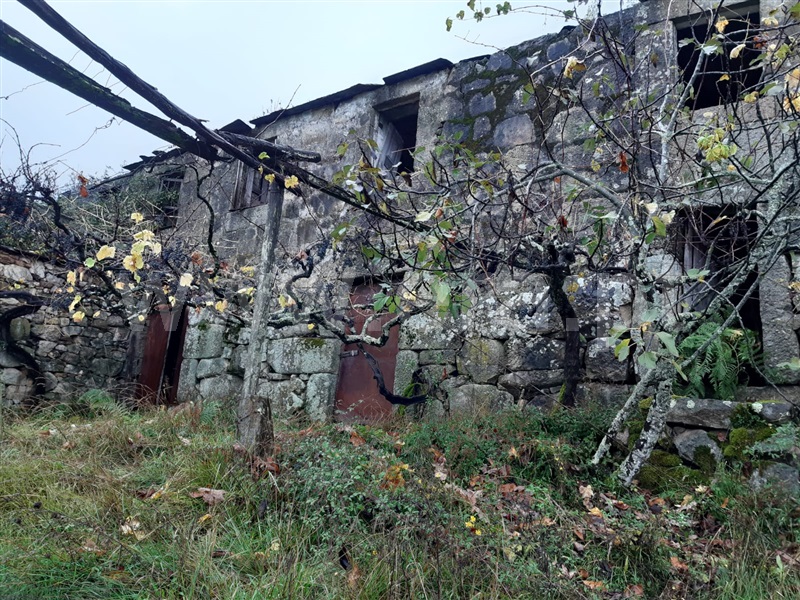 Quinta T2 / Cinfães, Nespereira