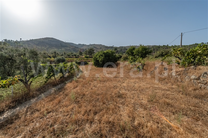 Quinta T2 Covilhã, Orjais - 1504381 - 26