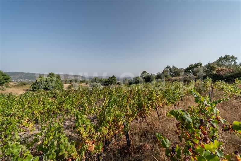 Quinta T2 Covilhã, Orjais - 1504381 - 32
