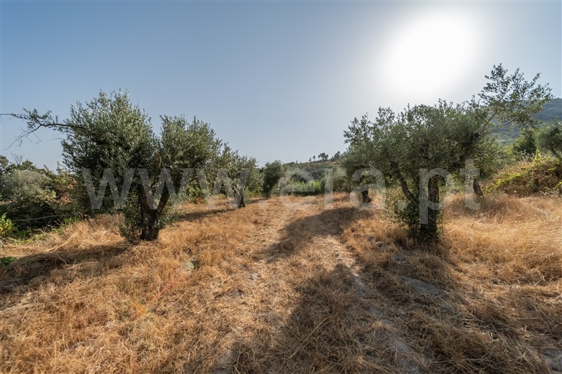 Quinta T2 Covilhã, Orjais - 1504381 - 33