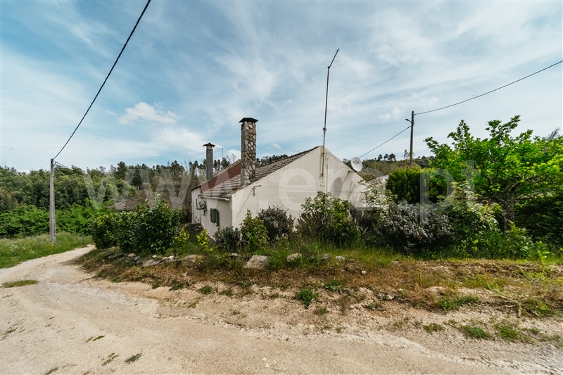 Quinta T2 Covilhã, Peraboa - 1396223 - 12
