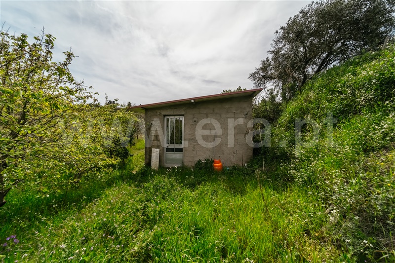 Quinta T2 Covilhã, Peraboa - 1396223 - 16