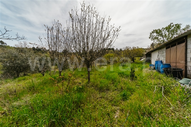 Quinta T2 Covilhã, Peraboa - 1396223 - 17