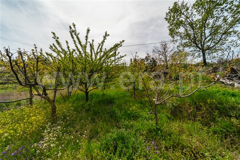 Quinta T2 Covilhã, Peraboa - 1396223 - 19