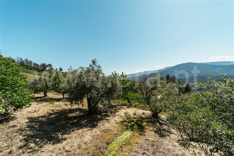 Quinta T2 Covilhã, Teixoso - 1484680 - 19