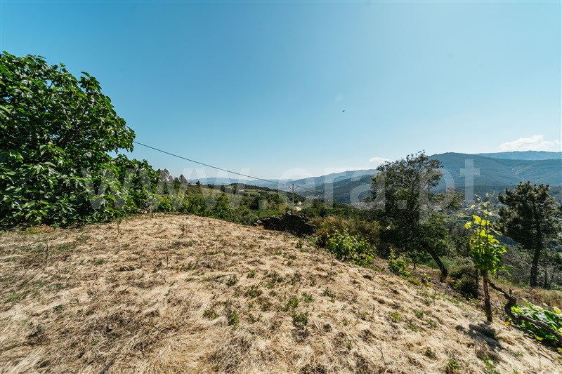 Quinta T2 Covilhã, Teixoso - 1484680 - 20