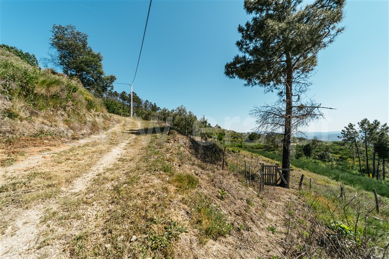 Quinta T2 Covilhã, Teixoso - 1484680 - 21