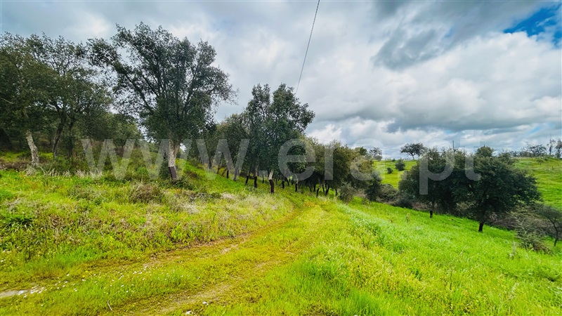 Quinta T2 Évora, S. Miguel Machede - 1470325 - 3
