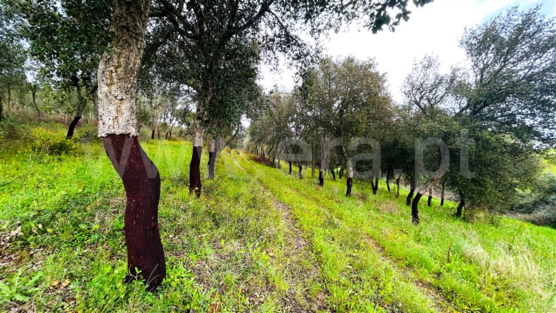 Quinta T2 Évora, S. Miguel Machede - 1470325 - 5