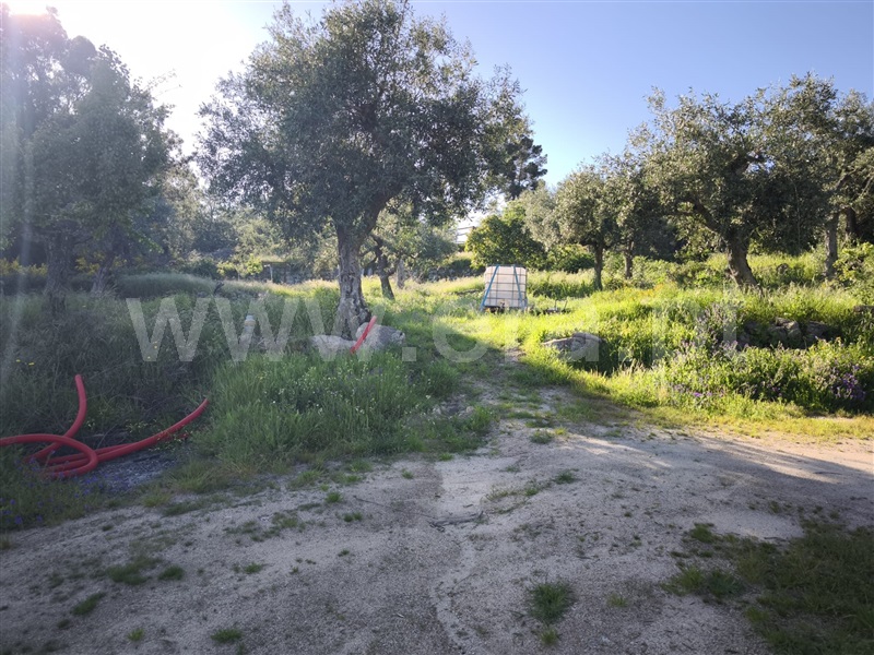 Quinta T2 Fundão, Soalheira - 1484214 - 20