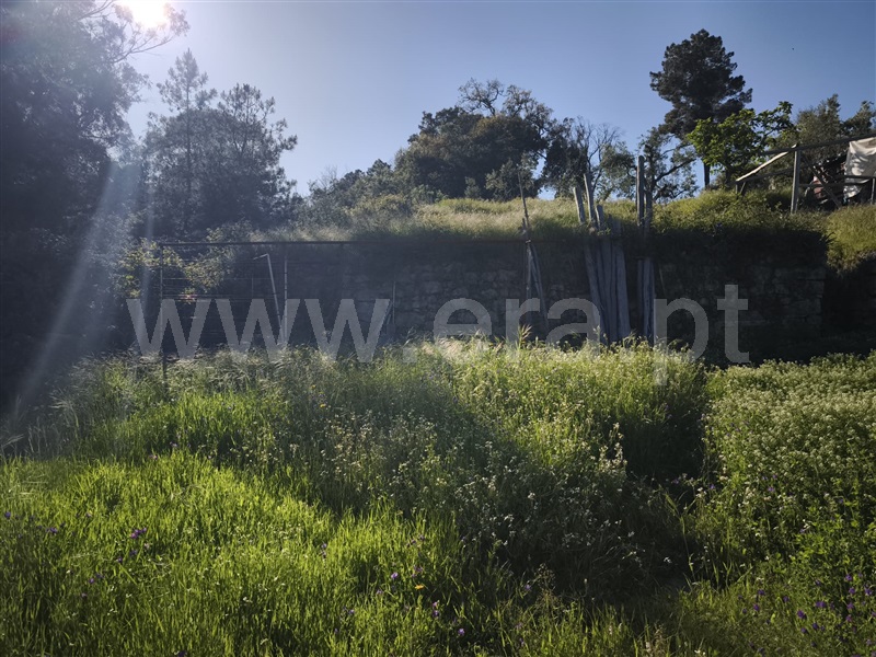 Quinta T2 Fundão, Soalheira - 1484214 - 21