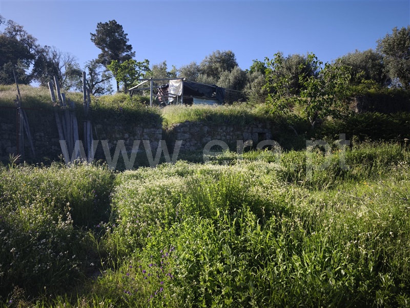 Quinta T2 Fundão, Soalheira - 1484214 - 22