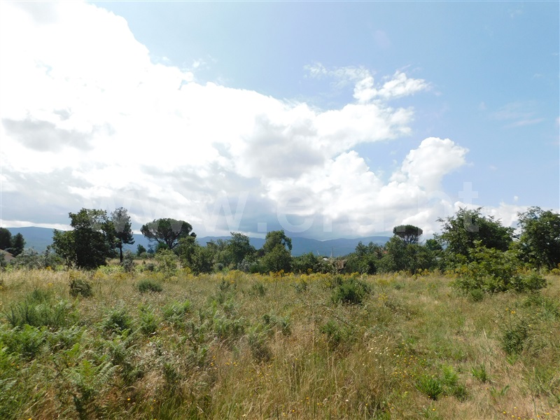 Quinta T2 Gouveia, Rio Torto e Lagarinhos - 1335129 - 16