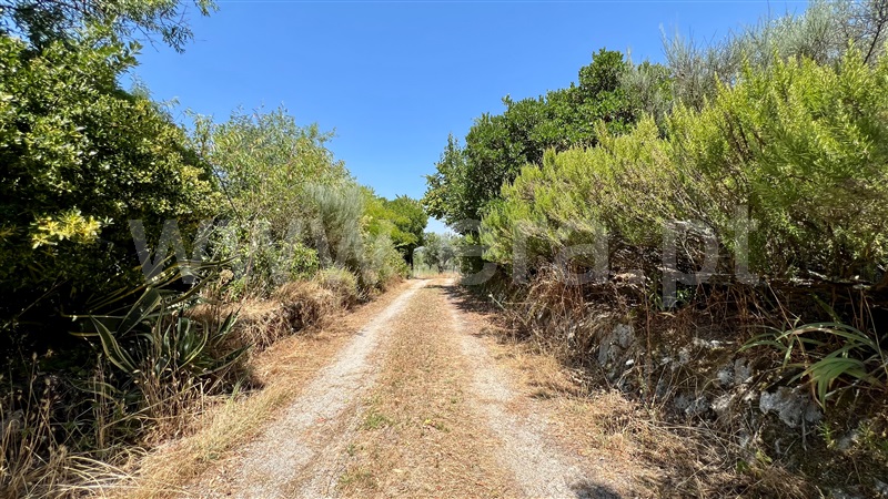 Quinta T3 Gouveia, Melo e Nabais - 1481821 - 1