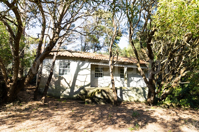 Quinta T2 / Madalena, Madalena