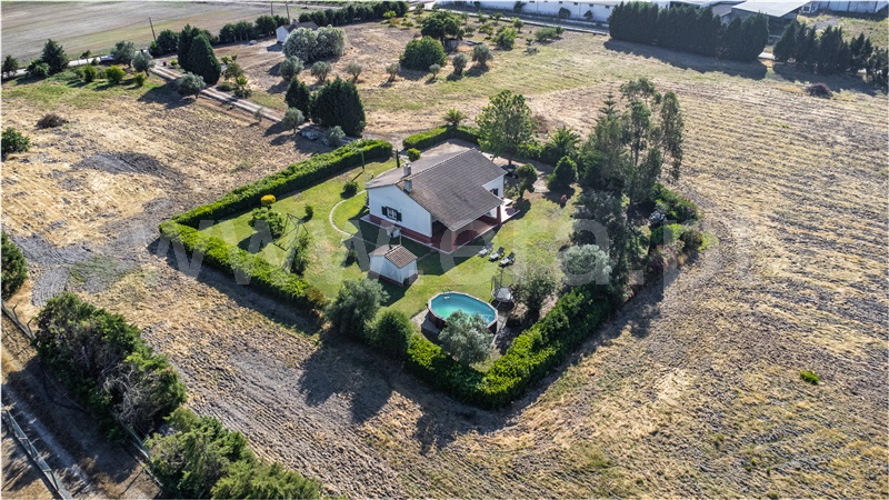 Quinta T2, Pegões, Montijo (Foto 4 de 20)