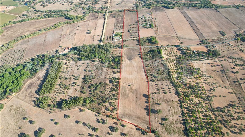 Quinta T2 / Odemira, Colos