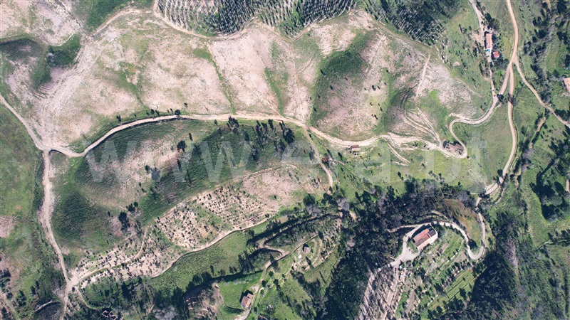 Quinta T2 Odemira, Saboia - 1225016 - 10