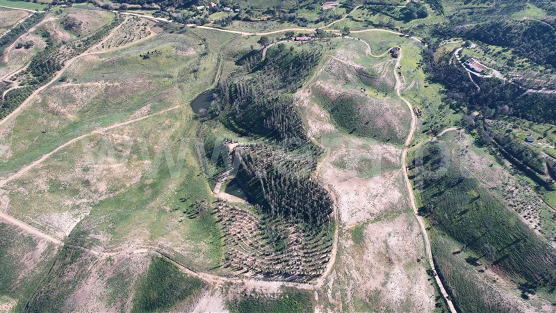 Quinta T2 Odemira, Saboia - 1225016 - 11