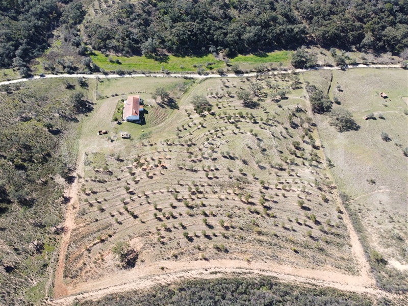 Quinta T2 Odemira, São Martinho das Amoreiras - 1230665 - 12