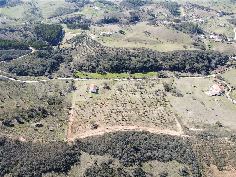 Quinta T2 Odemira, São Martinho das Amoreiras - 1230665 - 15