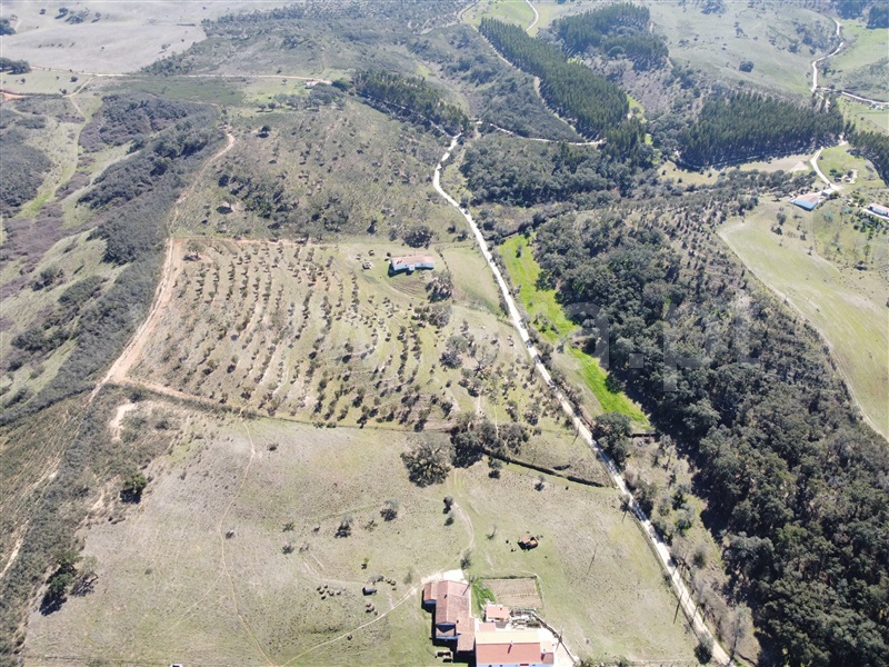 Quinta T2 Odemira, São Martinho das Amoreiras - 1230665 - 17