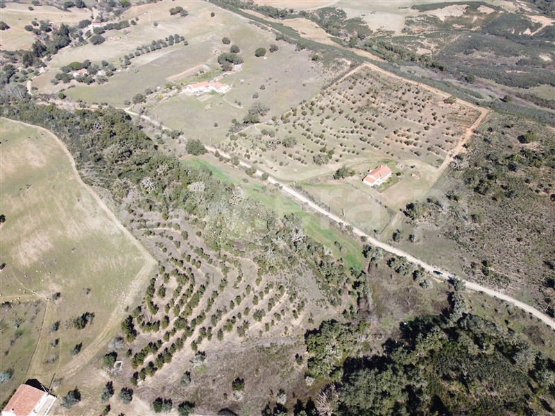 Quinta T2 Odemira, São Martinho das Amoreiras - 1230665 - 24