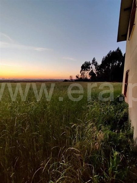 Quinta T2 Ovar, Válega - 1300120 - 7