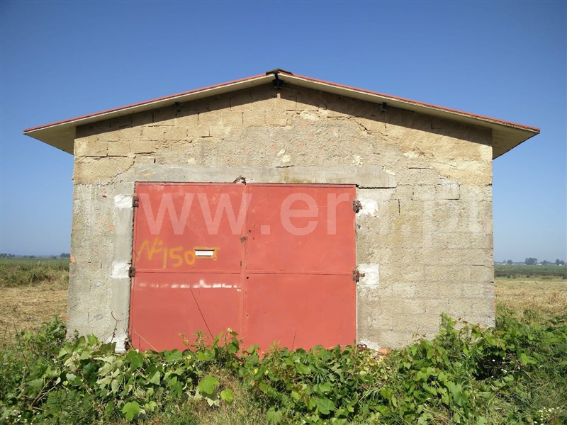 Quinta T2 Ovar, Válega - 1300120 - 26