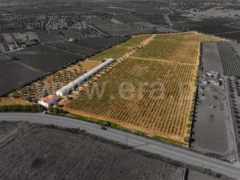 Quinta T2 / Reguengos de Monsaraz, Reguengos de Monsaraz