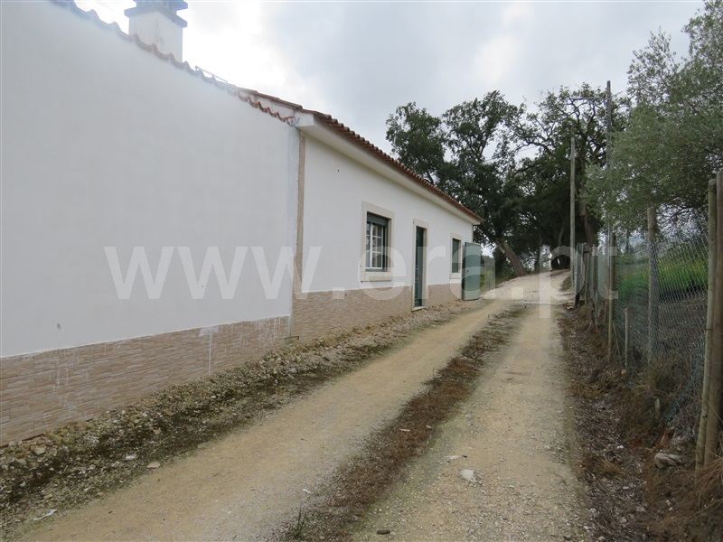 Quinta T2 / Rio Maior, Vale Piloto