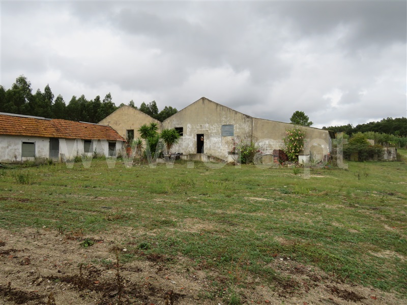 Quinta T2 Rio Maior, Vale Piloto - 1373360 - 9