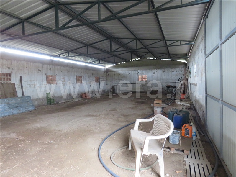 Quinta T2 Rio Maior, Vale Piloto - 1373360 - 10