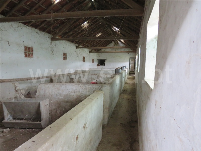 Quinta T2 Rio Maior, Vale Piloto - 1373360 - 12