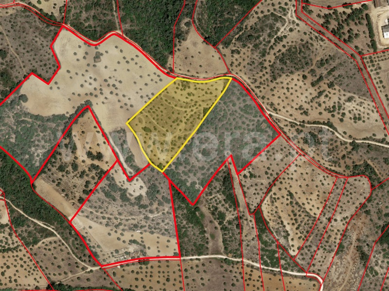 Quinta T2 / Santarém, São Vicente do Paul e Vale de Figueira