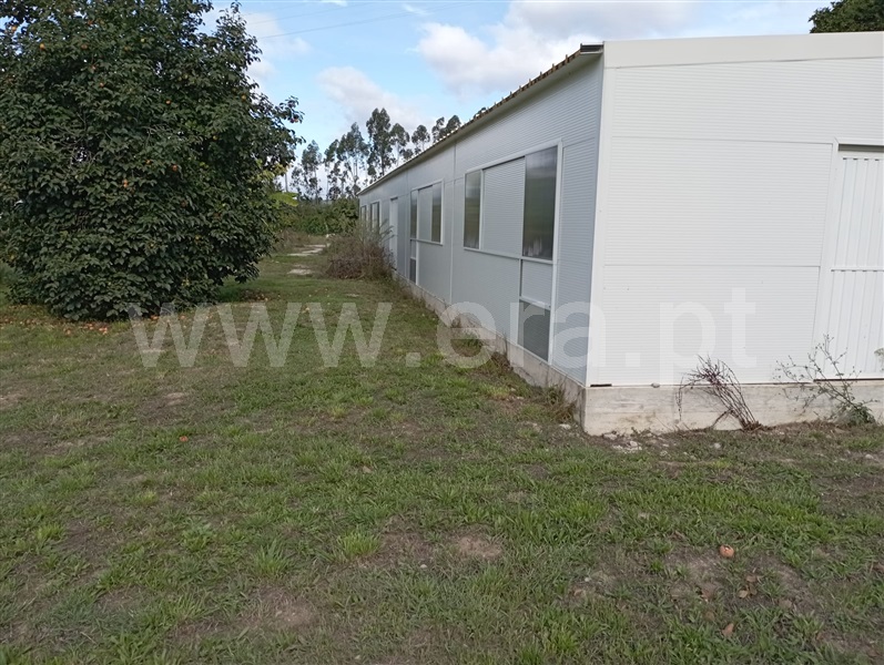 Quinta T2 com Agrícola Sever do Vouga - 1276535 - 12