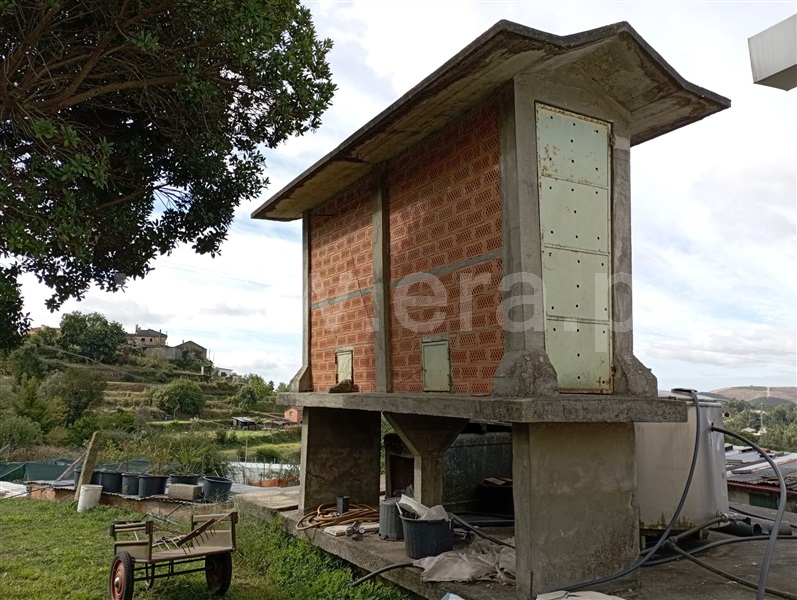 Quinta T2 com Agrícola Sever do Vouga - 1276535 - 21
