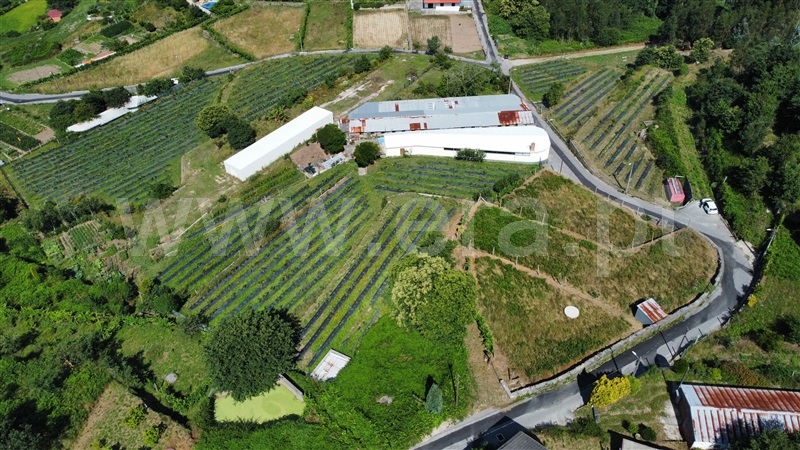 Quinta T2 / Sever do Vouga, Sever do Vouga