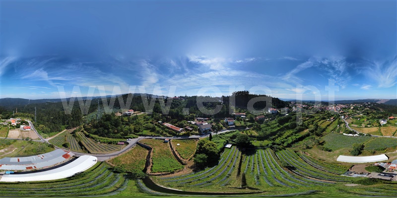 Quinta T2 com Agrícola Sever do Vouga - 1276535 - 21
