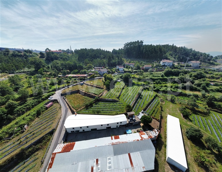 Quinta T2 com Agrícola Sever do Vouga - 1276535 - 22