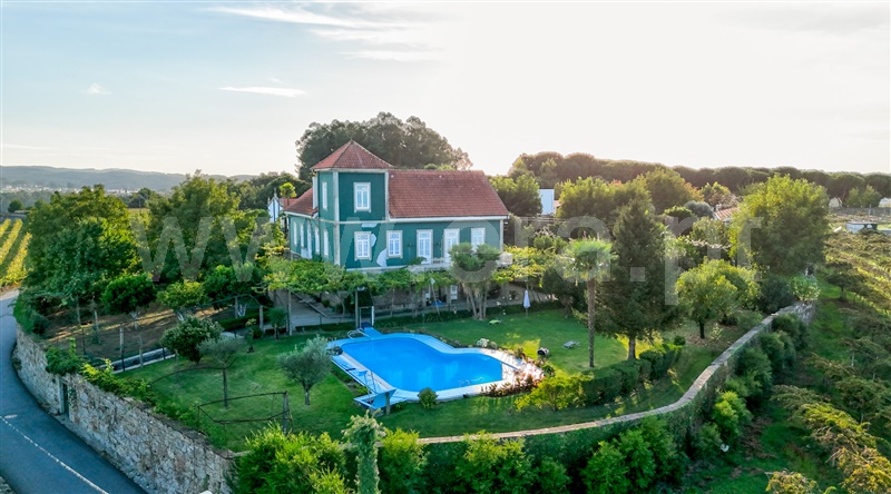 Quinta T24 / Santo Tirso, Areias, Sequeiró, Lama e Palmeira