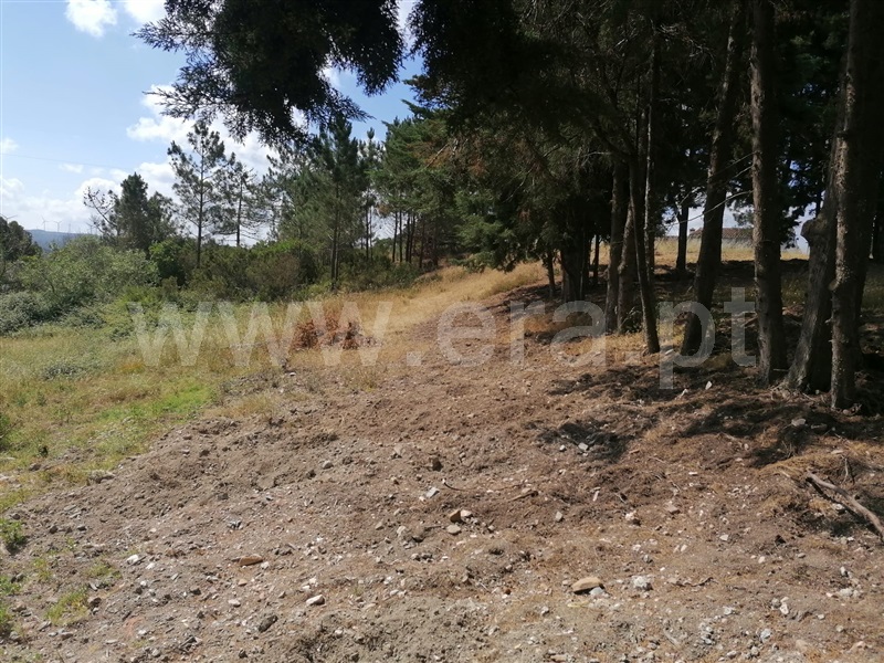 Quinta T2 Aljezur, Alfambras - 1329621 - 4